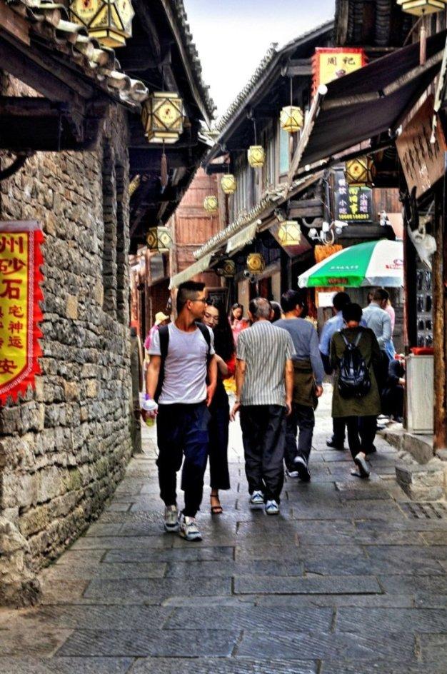 动物帮帮忙保卫家园